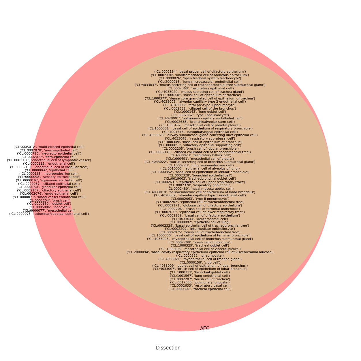 ../../../_images/examples_Ontologies_CL_Lung-Epithelial-Cell-Types_29_0.png