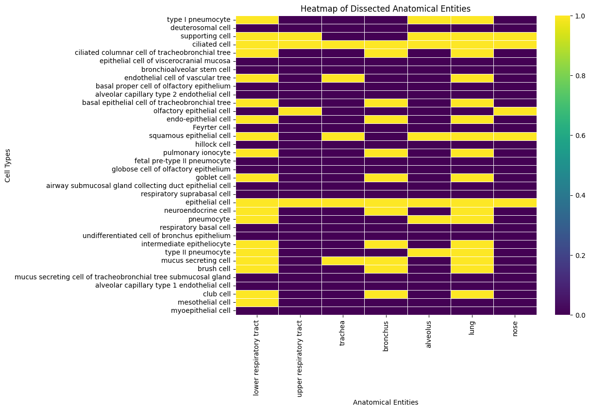 ../../../_images/examples_Ontologies_CL_Lung-Epithelial-Cell-Types_39_0.png