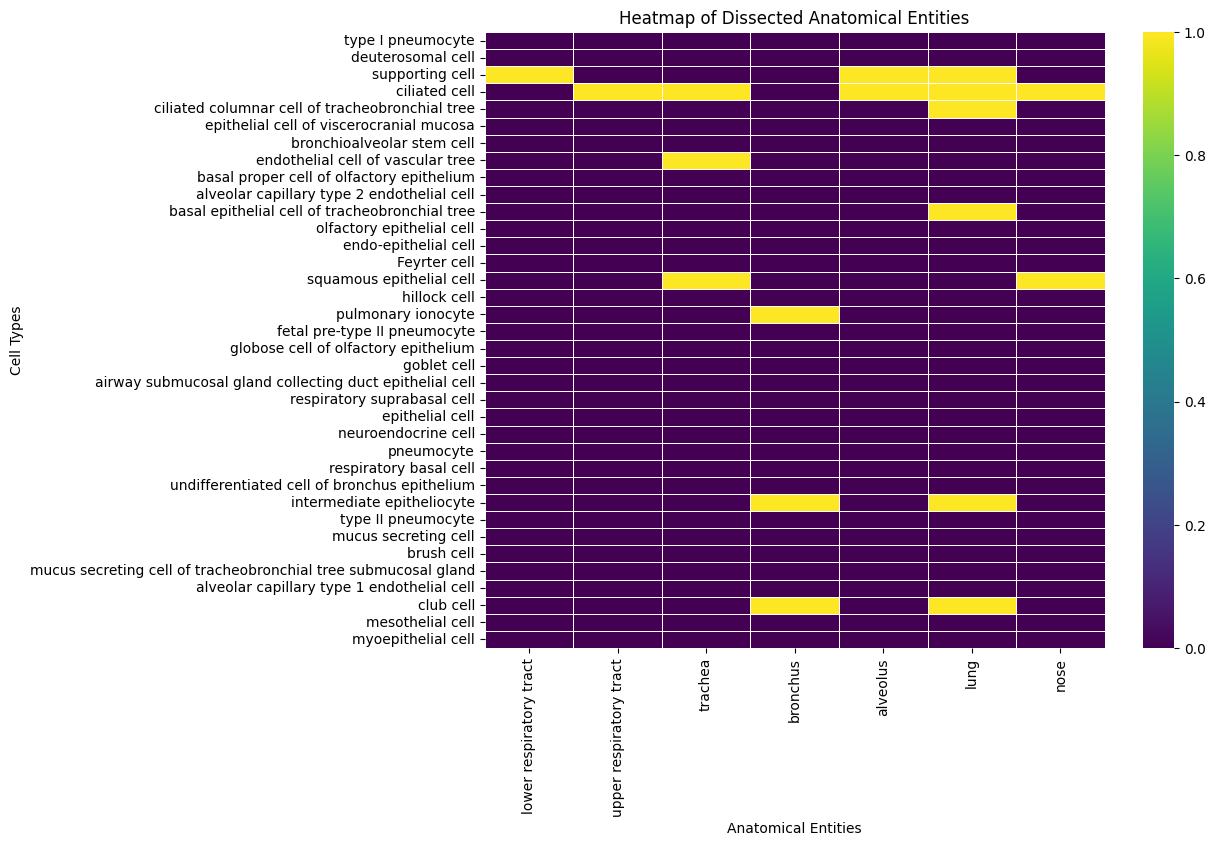 ../../../_images/examples_Ontologies_CL_Lung-Epithelial-Cell-Types_41_0.png